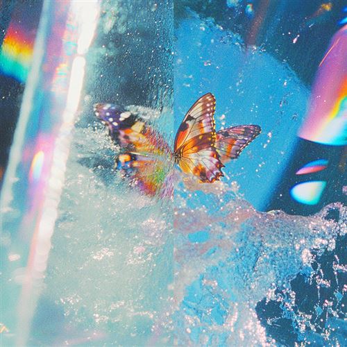 Daphni aka Caribou - Butterfly | Limited Edition