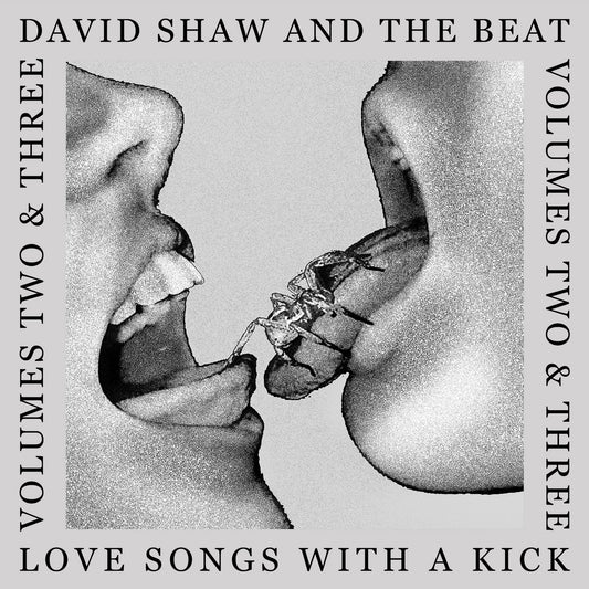 David Shaw And The Beat - Love Songs With A Kick Vol. Two