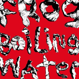 Diiv - Frog In Boiling Water