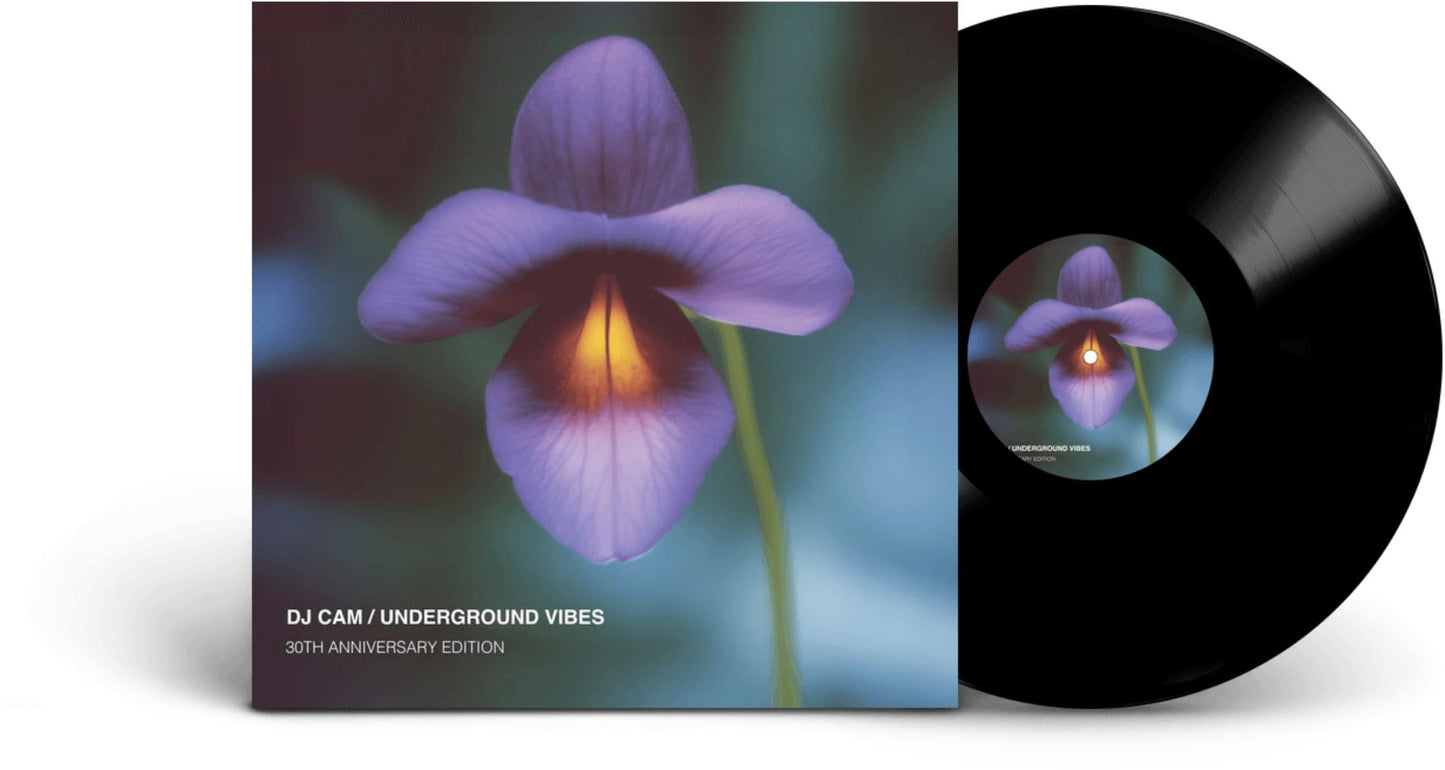 Dj Cam - Underground Vibes