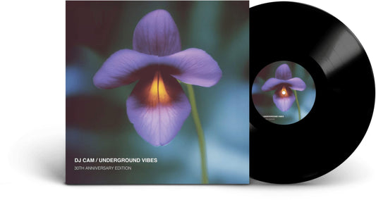 Dj Cam - Underground Vibes