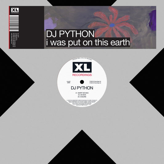 Dj Python - I Was Put On This Earth