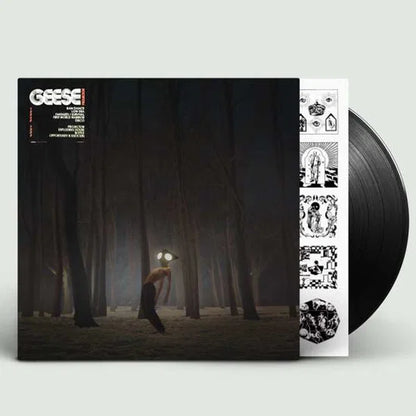 Geese - Projector