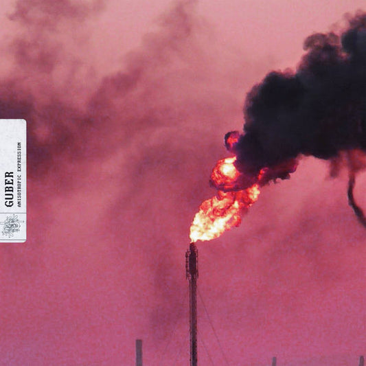 Guber - Anisotropic Expression 12'