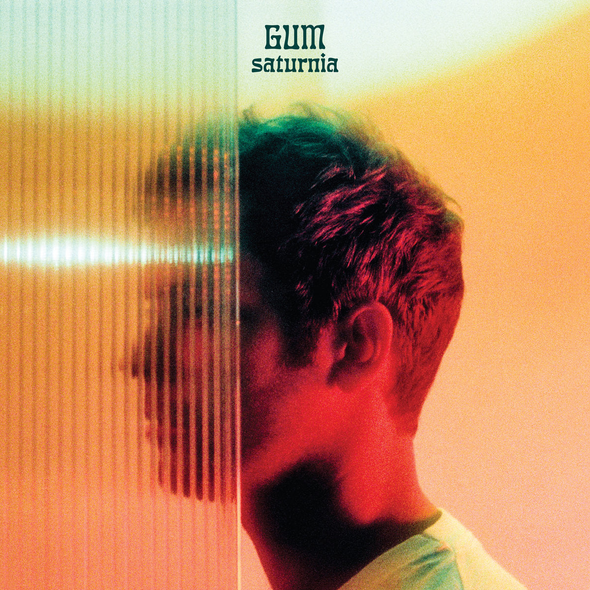 Gum - Saturnia | Vinyl Transparent