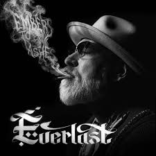 Everlast - Embers To Ashes | Limited Indie Exclusive Clear Smoke Vinyl