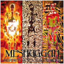 Meshuggah - Destroy Erase Improve | Gray Black & White Marbled Vinyl