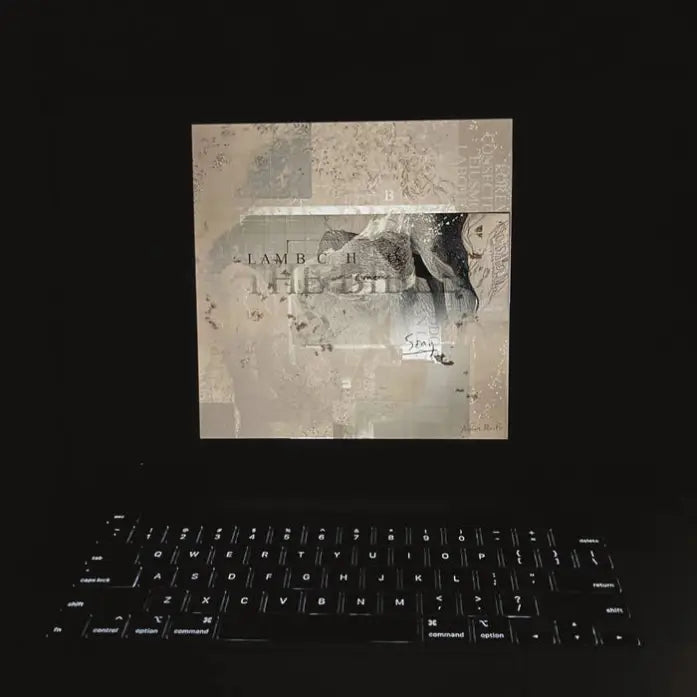 Lambchop - The Bible