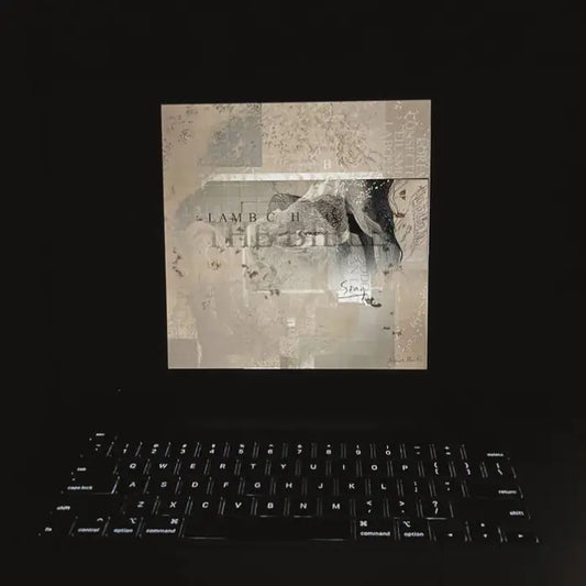 Lambchop - The Bible