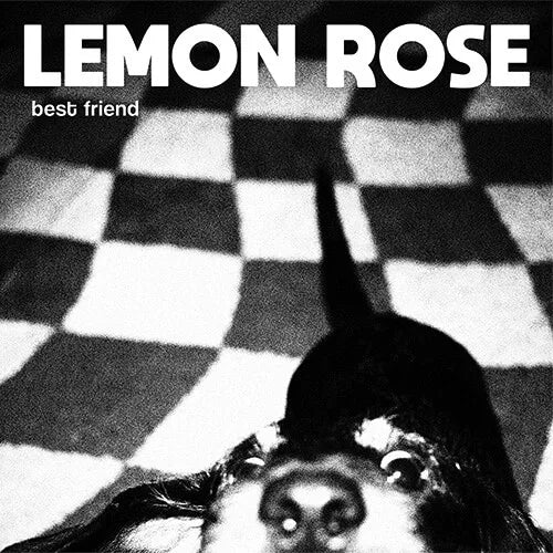 Lemon Rose - Best Friend