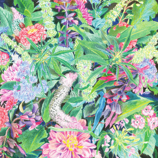 Light Space Modulator - The Rising Wave