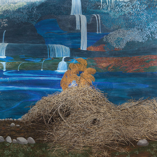 Mary Lattimore - At The Dam | Winterfall vinyl