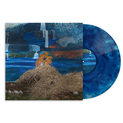 Mary Lattimore - At The Dam | Winterfall vinyl