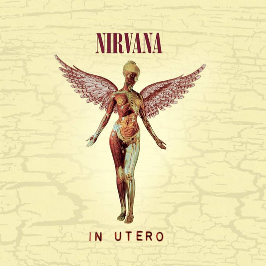 Nirvana - In Utero 30th Anniversary Edition