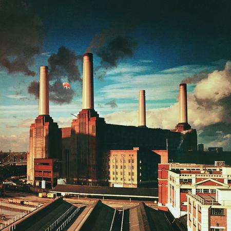 Pink Floyd - Animals | 2025