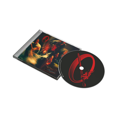 Queens Of The Stone Age - Perfecth