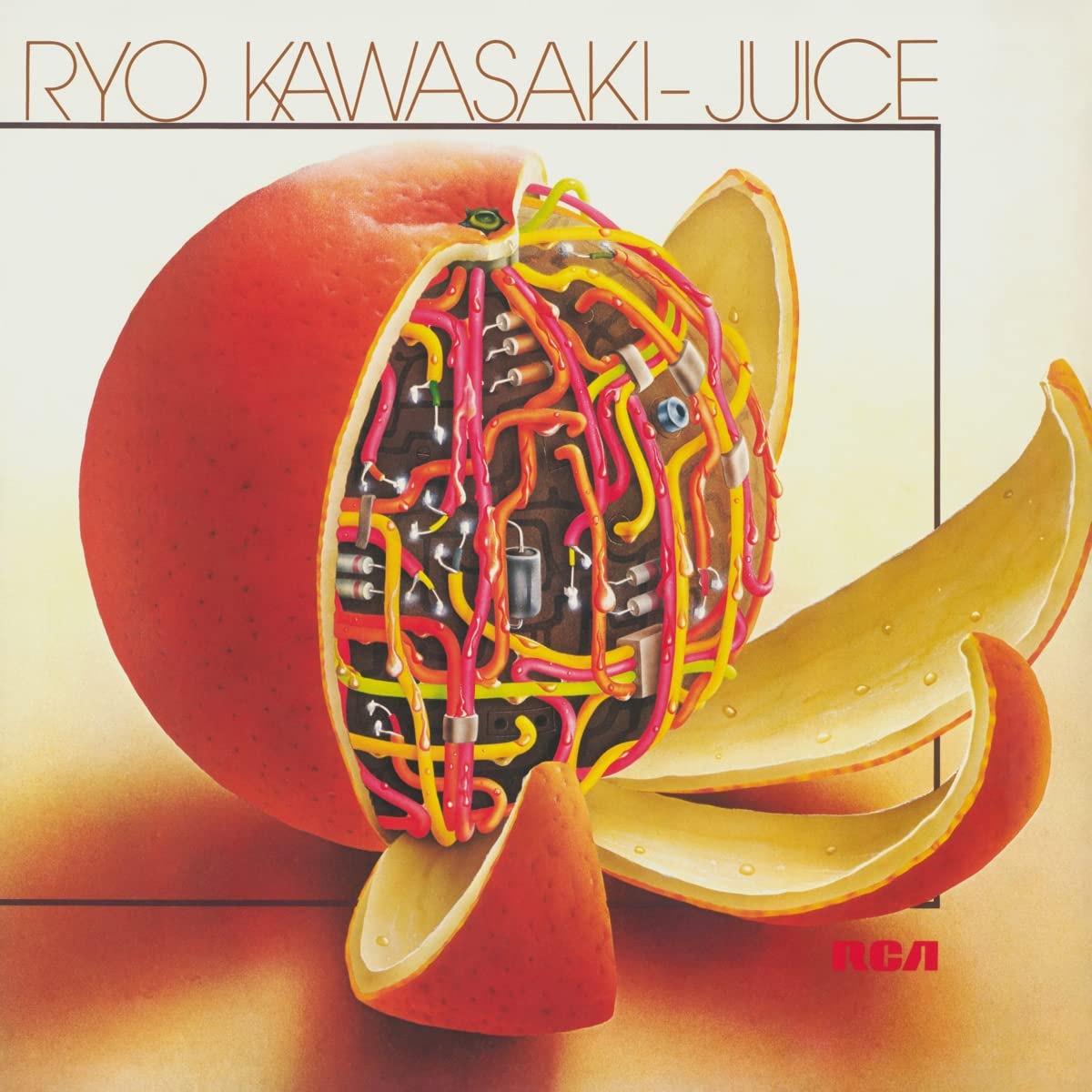 Ryo Kawasaki - Juice/NB