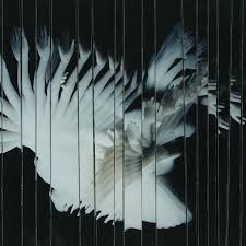 Scaler - Endlessly