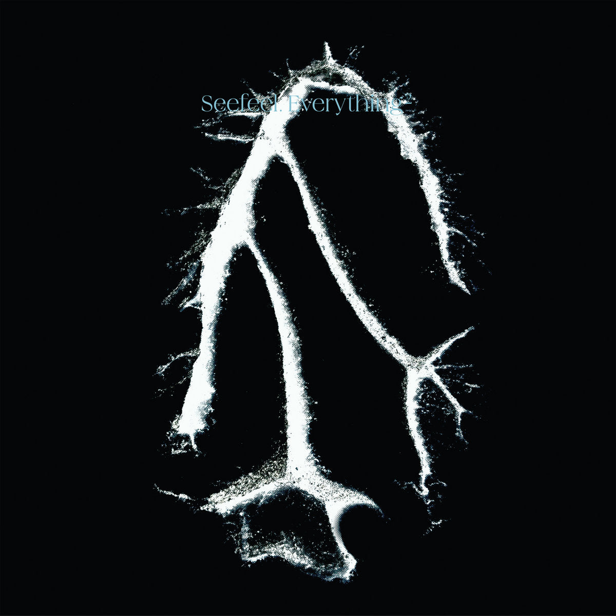 Seefeel / Everything Squared