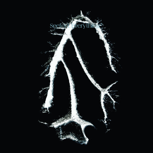 Seefeel / Everything Squared