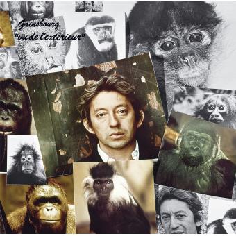 Serge Gainsbourg - Vu De L'Exterieur