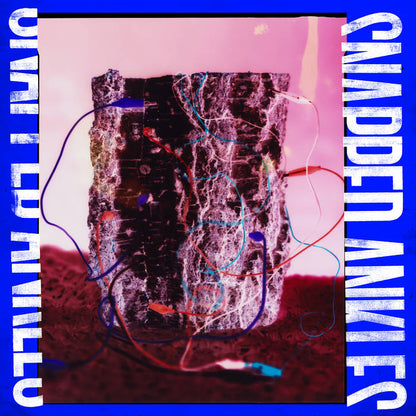Snapped Ankles - Forest Of Your Problems (Forest Floor Recycled vinyl)