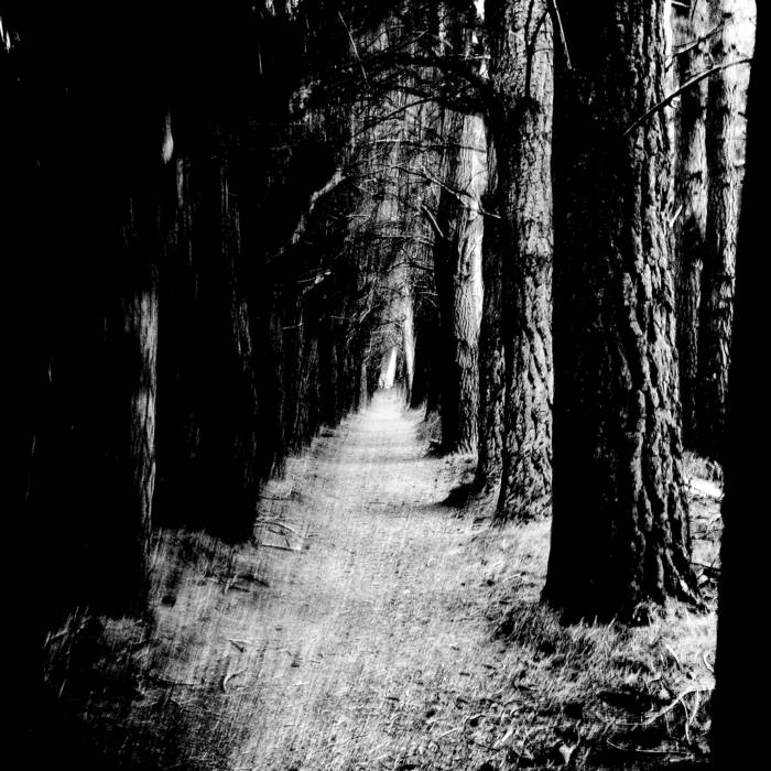 Stray Theories - Falter | Vinyl Transparent Red