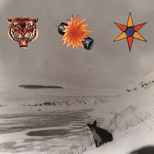 The Beta Band - The Three E.P.'S