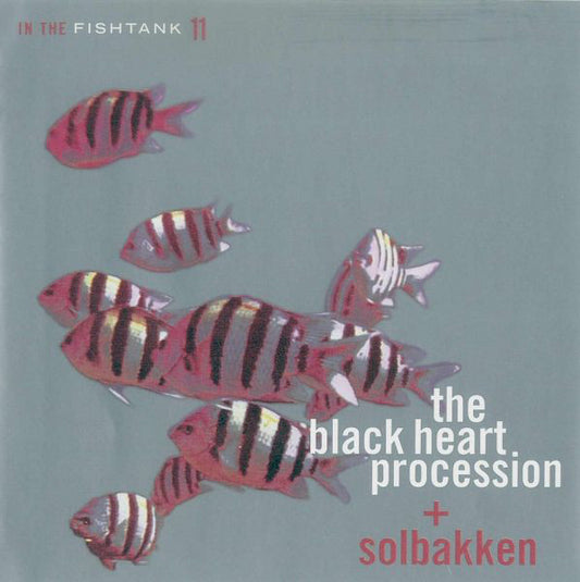 The Black Heart Procession + Solbakken - In The Fishtank 11
