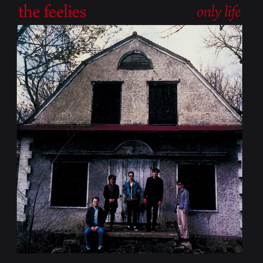 The Feelies - Only Life