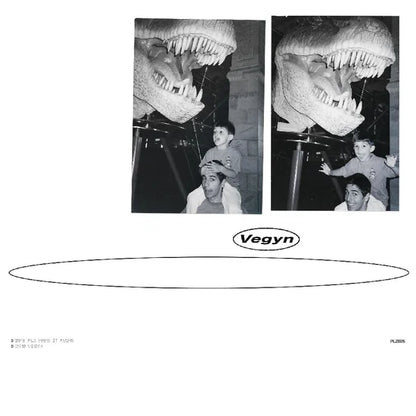 Vegyn - Only Diamonds Cut Diamonds [5 Year Anniversary]